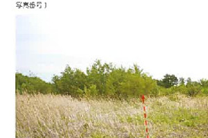 R08ヌ15